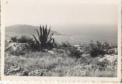 Mers el Kebir 1955   Vue du Murdjadjo